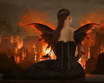 Wings Pictures And Image