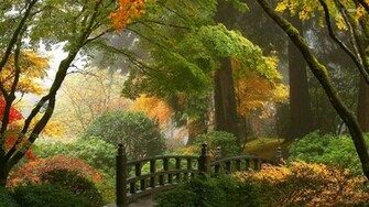 Japanese Garden Nature Wallpaper Amb