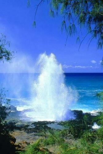 Kauai Beach iPhone HD Wallpaper