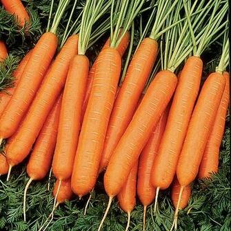 Desktop Background Wallpaper Healthey Vegetable