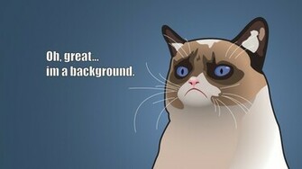 Funny Background Hilarious Wallpaper For Desktop