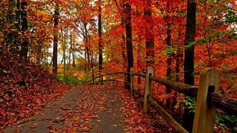 Beautiful Autumn Wallpaper Sf