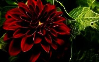 New Flower Wallpaper