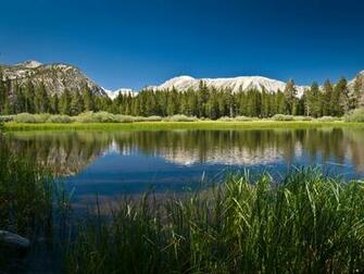 Nature Wallpaper For Android Mobile Pictures
