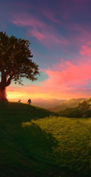 Wallpaper Shrek Artofit
