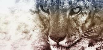 Snow Leopard Wallpaper By Kruzay