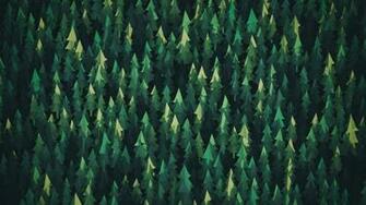 Wallpaper Collection All