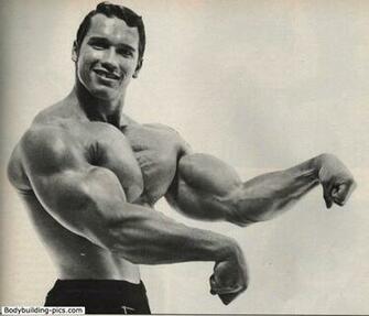 Arnold Schwarzenegger Bodybuilding Wallpaper