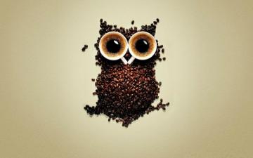 Funny Coffee Owl Wallpaper