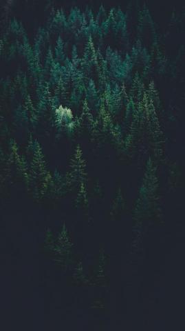 Best Dark Or Black iPhone Wallpaper Night Background