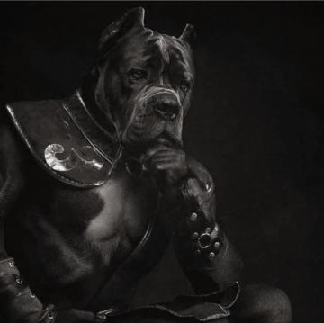Cane Corso Slovakia Home