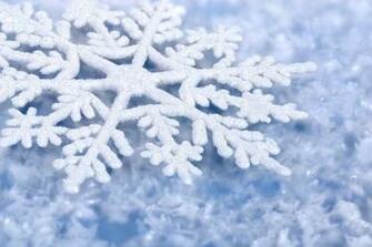 Winter Snow HD Wallpaper Of