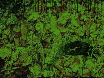 Garbage Fish Wallpaper Creativity