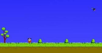 Duck Jpg