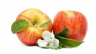 Apple For Elaine Wallpaper Hq Desktop