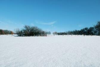 Snowscape Stock By Sed Rah