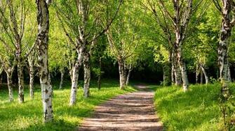 Wide Screen Nature Wallpaper HD