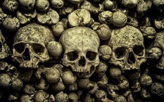 Bones 1080p 2k 4k HD Wallpaper