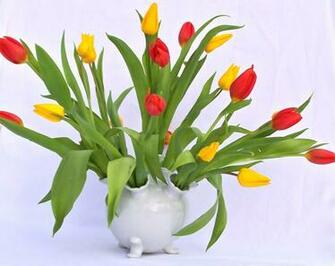 Best Flowers In Vases