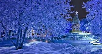 Bing Wallpaper December