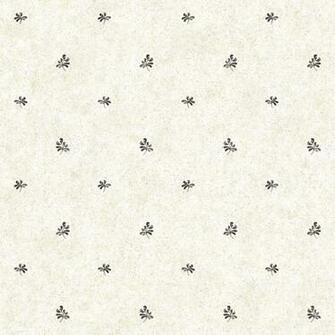 Inspired By Color Beige Background And Black Wallpaper Eclectic
