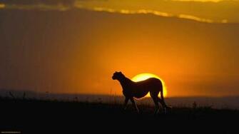 High Definition Wallpaper Club African Sunset