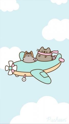 Stromy And Pusheen Plane Imagenes De Dibujos Bonitos