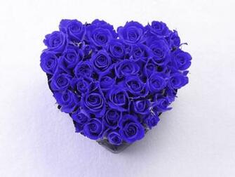 Wallpaper Background Blue Rose