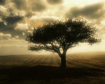 Cool Scenery Wallpaper