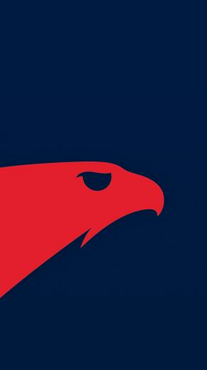Atlanta Hawks Png