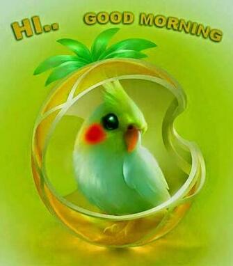 Lovely And Beautiful Good Morning Wallpaper Allfreshwallpaper
