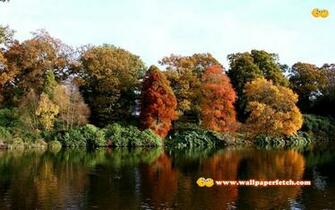Wallpaper Prehe Beautiful Cool HD Nature