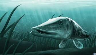 Musky Desktop Wallpaper Picserio