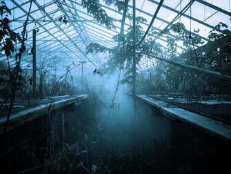 HD Wallpaper Brown And Green Plant Garden Abandoned Greenhouse