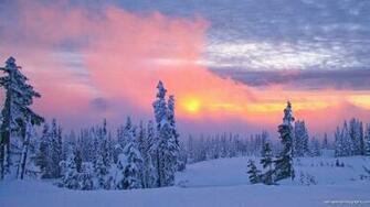 Christmas Scenery Wallpaper