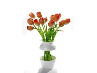 Flowers Vase Wallpaper