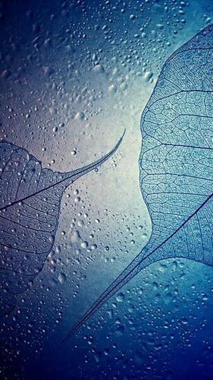 The Best Wallpaper Samsung Ideas