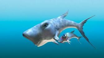Wallpaper Cartoon Shark HD Background Desktop