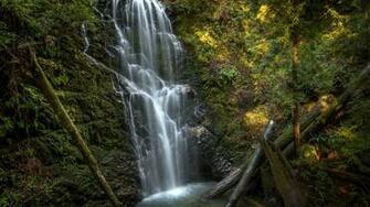 Berry Creek Falls Big Basin Redwoods State Park California United