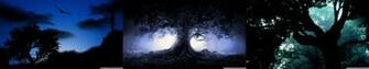 Triple Monitor Multi Screen Multiple Trees Arbres Wallpaper Background
