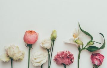 Wallpaper Flowers Background Roses Colorful White Vintage
