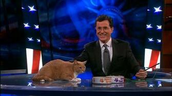 Stephen Colbert Wallpaper X Net