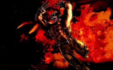 Wolverine Wallpaper By Franky4fingersx2