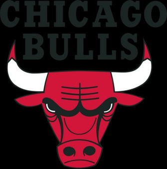 Chicago Bulls Logo Large Image