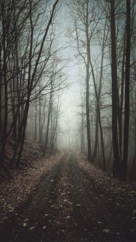 Portrait Display Vertical Landscape 1080p Wallpaper