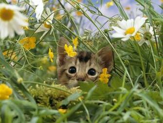 Welcome Spring Wallpaper