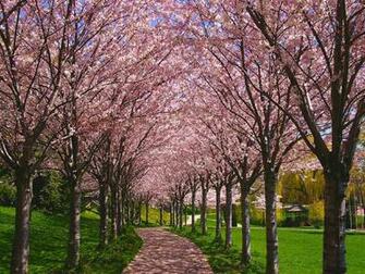 Reasons Why Burlington Is The Place To Be Davies Smith