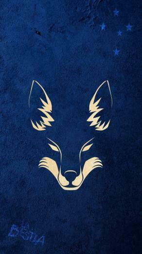 Wallpaper Do Cruzeiro Pap Is De Parede Pc E Celular