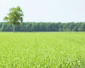 Sky Wallpaper Of Vast Country Field Blue White Cloud12 Nature