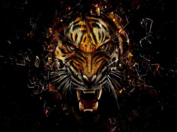 Face Tiger Art Cool Wallpaper HD Background
